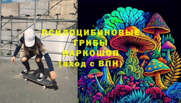 дживик Абинск