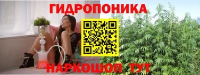 амф Севастополь