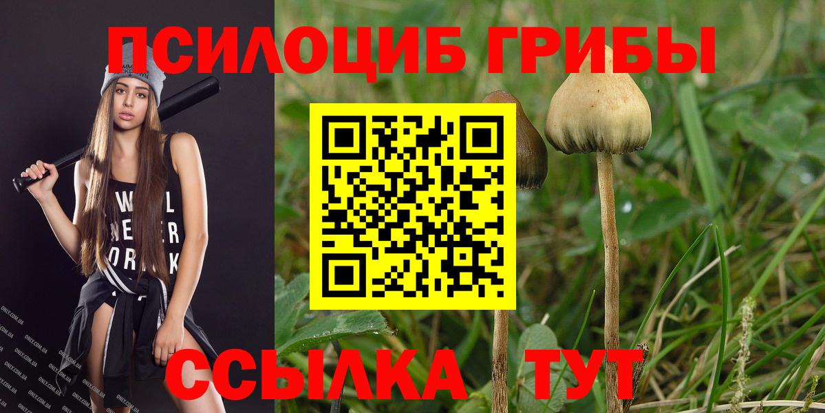 Старая Купавна  что такое наркотик  Вход с VPN  Галлюциногенные грибы MAGIC MUSHROOMS  Галлюциногенные грибы мицелий 