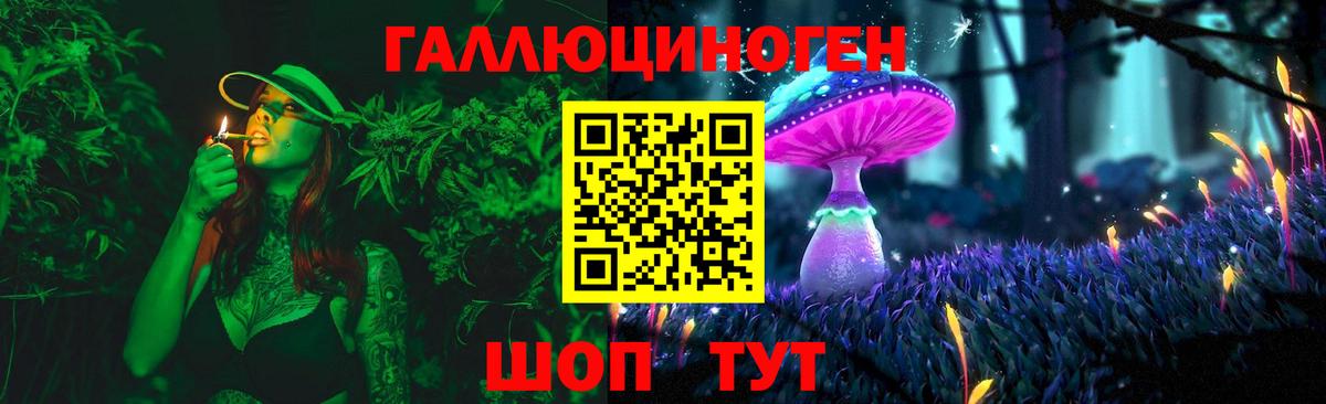 Галлюциногенные грибы Psilocybine cubensis Старая Купавна