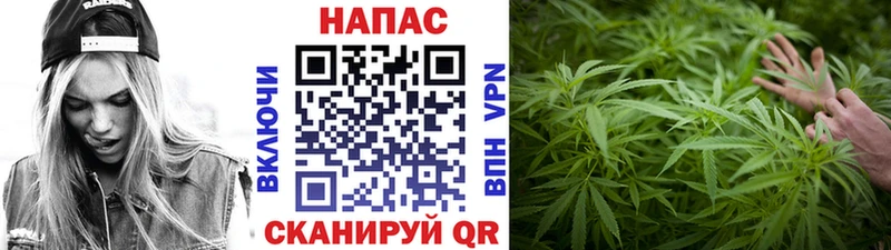 где найти наркотики Старая Купавна Каннабис семена